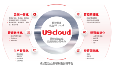 軟件產(chǎn)品的互聯(lián)網(wǎng)銷售 策略、優(yōu)勢(shì)與挑戰(zhàn)